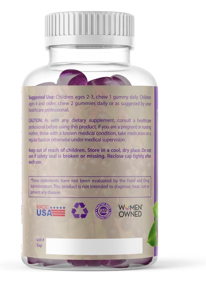 Elderberry Queen Organic Elderberry Gummies 60 ct - Immune Support Gummies with Vitamin C & Zinc - Elderberry Vitamin Gummies for Adults and Kids
