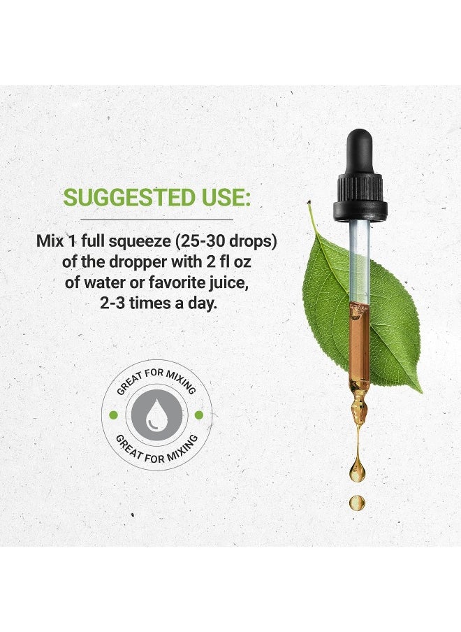 Secrets of the Tribe Bitter Melon USDA Organic | Alcohol-Free Extract, High-Potency Herbal Drops | Made from 100% Certified Organic Bitter Melon (Momordica Charantia) Dried Fruit 2 oz