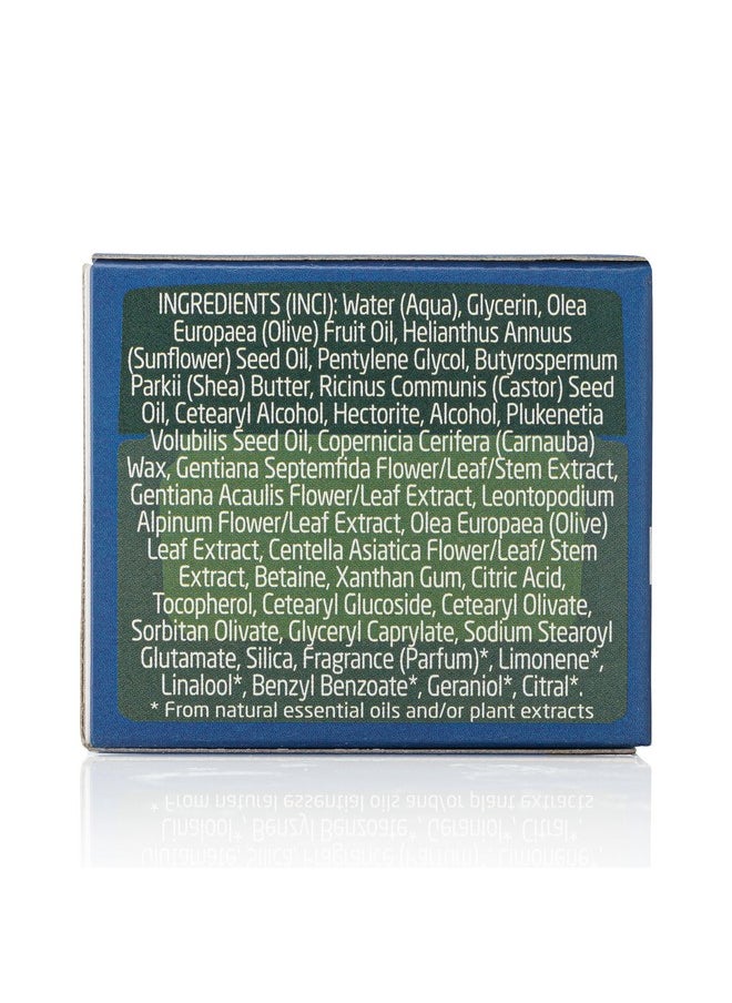Weleda Face Care Rejuvenating Day Cream, 1.3 Fluid Ounces, Plant Rich Moisturizer with Blue Gentian and Edelweiss