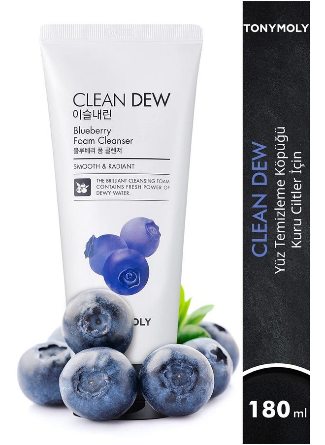TONYMOLY Clean Dew Blueberry Foam Cleanser
