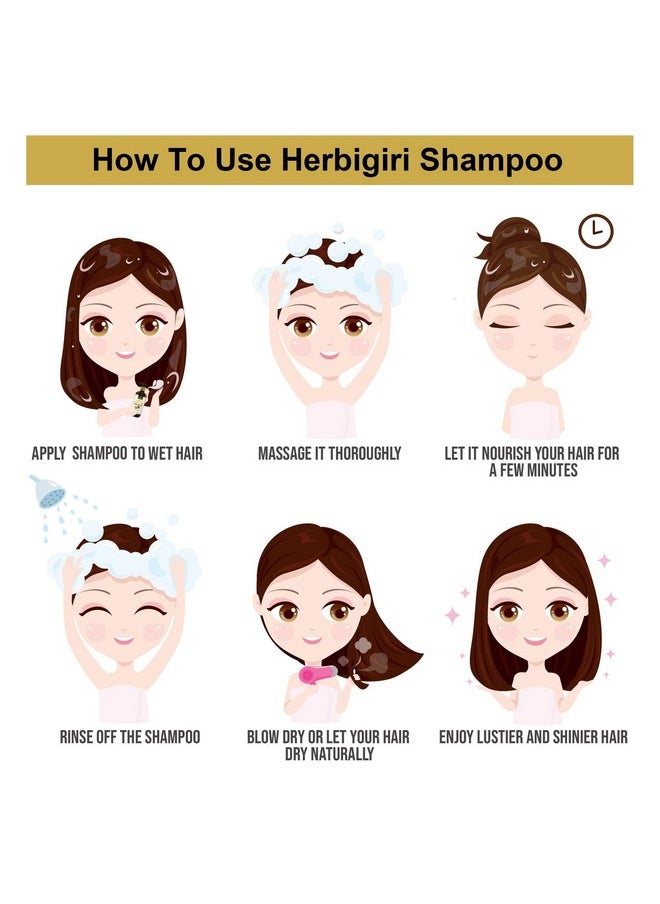 Herbigiri Herbal Pure & Natural Amla Bhrinraj shampoo l For Control Hair Losse (Pack Of 4) (840Ml)
