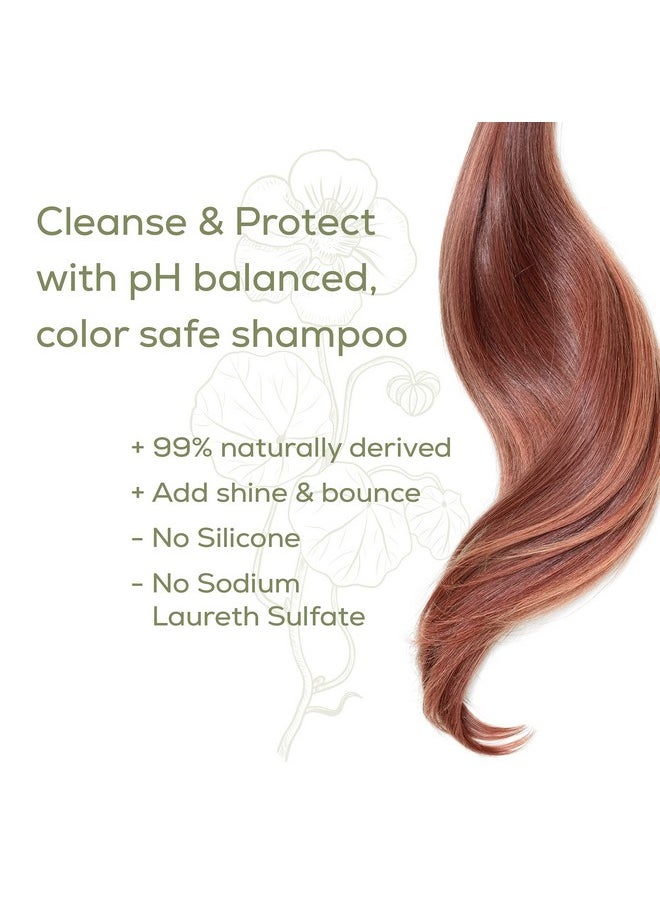 Naturtint Color Care Shampoo for Color-Treated, Dry, or Normal Hair, Formulated to Retain Vibrancy without Parabens, Sodium Lauryl Sulfate or Sodium Laureth Sulfate