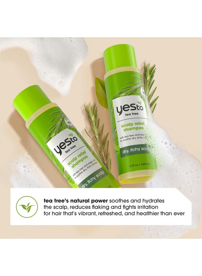 Yes To Tea Tree Shampoo with pH Balancing Formula, Nourishing Sage Oil, for Dry, Itchy Scalp Relief, Natural, Vegan & Cruelty Free, 12 Fl Oz