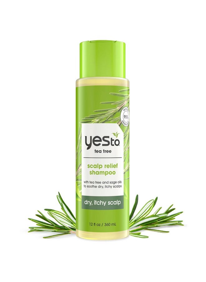 Yes To Tea Tree Shampoo with pH Balancing Formula, Nourishing Sage Oil, for Dry, Itchy Scalp Relief, Natural, Vegan & Cruelty Free, 12 Fl Oz