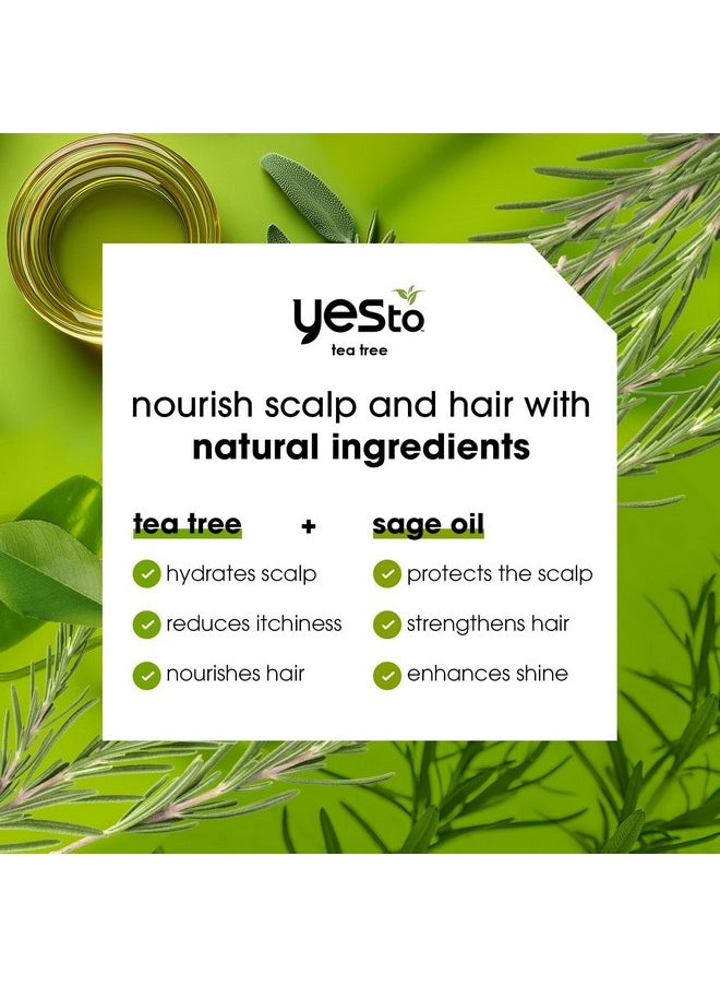 Yes To Tea Tree Shampoo with pH Balancing Formula, Nourishing Sage Oil, for Dry, Itchy Scalp Relief, Natural, Vegan & Cruelty Free, 12 Fl Oz