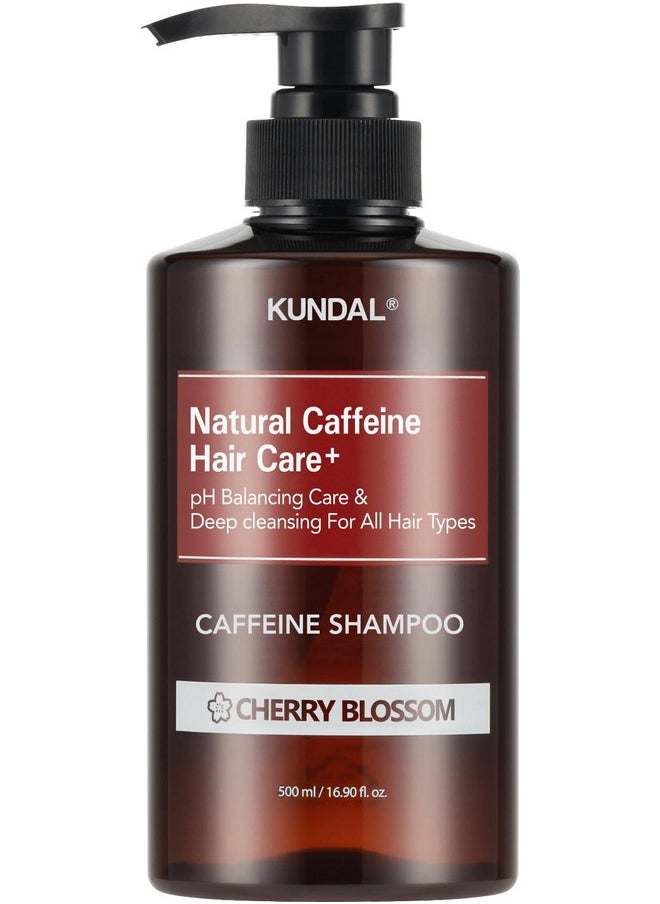 KUNDAL Caffeine Hair Shampoo [Cherry Blossom] Scalp Care, Deep Cleansing, Suitable for All Hair Types 16.9Fl Oz (500ml)