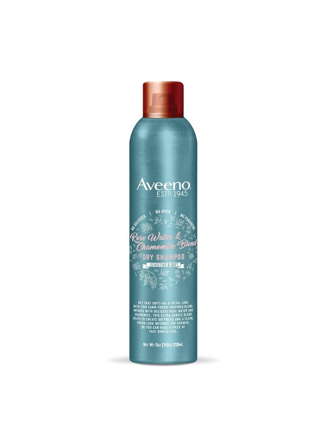 Aveeno Rose Water & Chamomile Blend Gentle Dry Shampoo for Sensitive Scalp & Soft Hair, Sulfate Free Dry Shampoo, Paraben & Dye-Free, 5 Fl Oz
