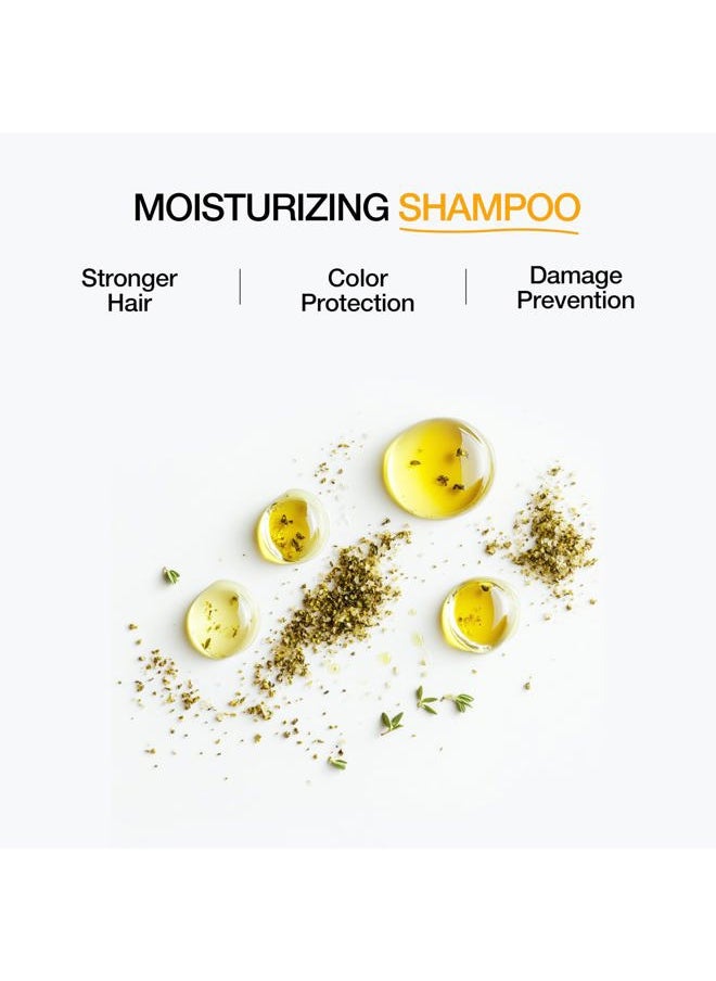 Moisture Repair Shampoo | Nourishing & Anti-Dandruff Shampoo for Women & Men with Dry, Frizzy, or Color-Treated Hair | Sulfate-Free Formula for a Smooth Hair Care Routine | 10.1 fl oz