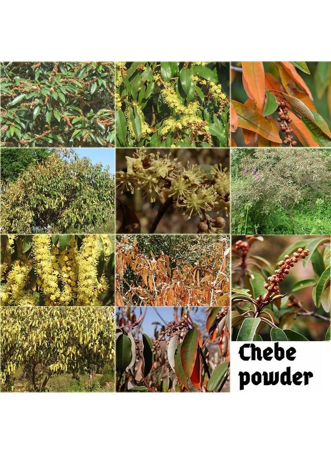 Africa Croton Tree seeds Extract Known Locally as Chebe Hot Oil Scientific Name Croton gratissimus Scalp & Hair Roots Strengthening Hot Oil