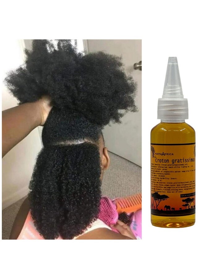 Africa Croton Tree seeds Extract Known Locally as Chebe Hot Oil Scientific Name Croton gratissimus Scalp & Hair Roots Strengthening Hot Oil