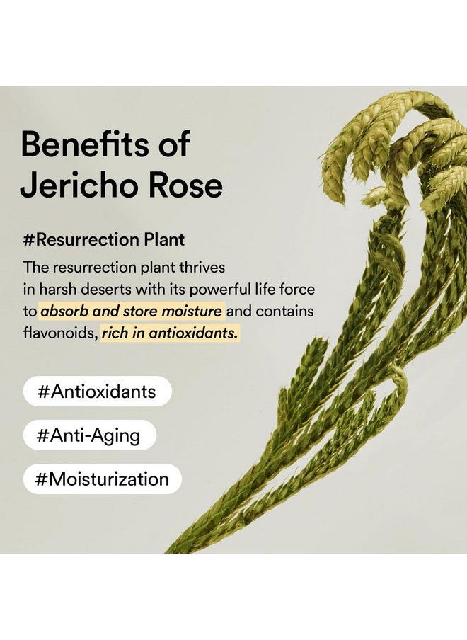 Abib Collagen Eye Patch Jericho Rose Jelly, Under Eye Patches for Puffy Eyes and Dark Circles, Anti-Wrinkle Care with Collagen, Hydrating & Antioxidant Formula, Korean Skin Care