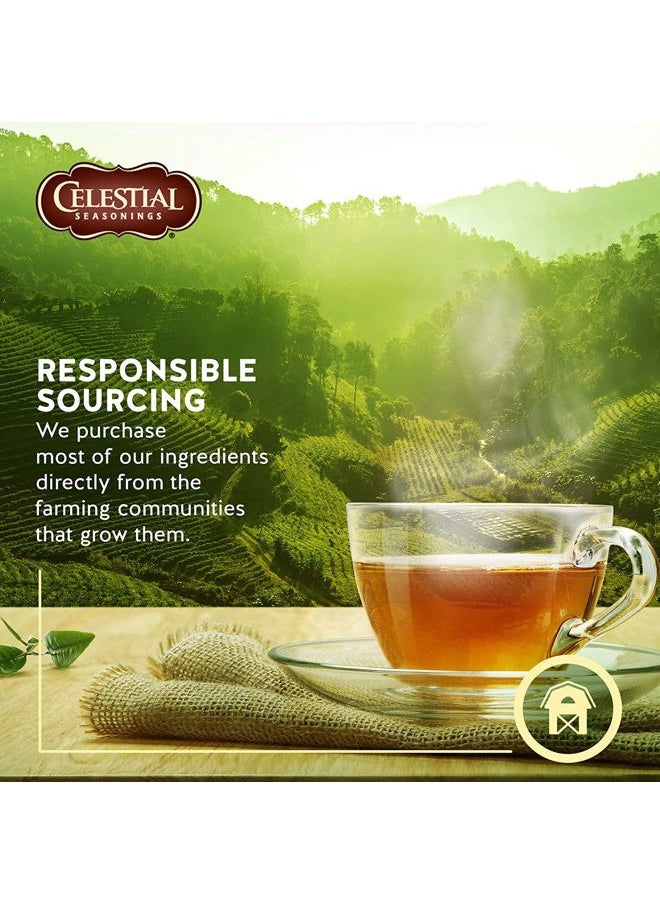 Sleepytime Herbal Tea, 20 ct