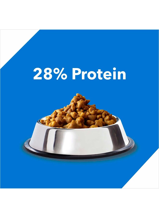 Adult Dry Cat Food  Ocean Fish 7kg
