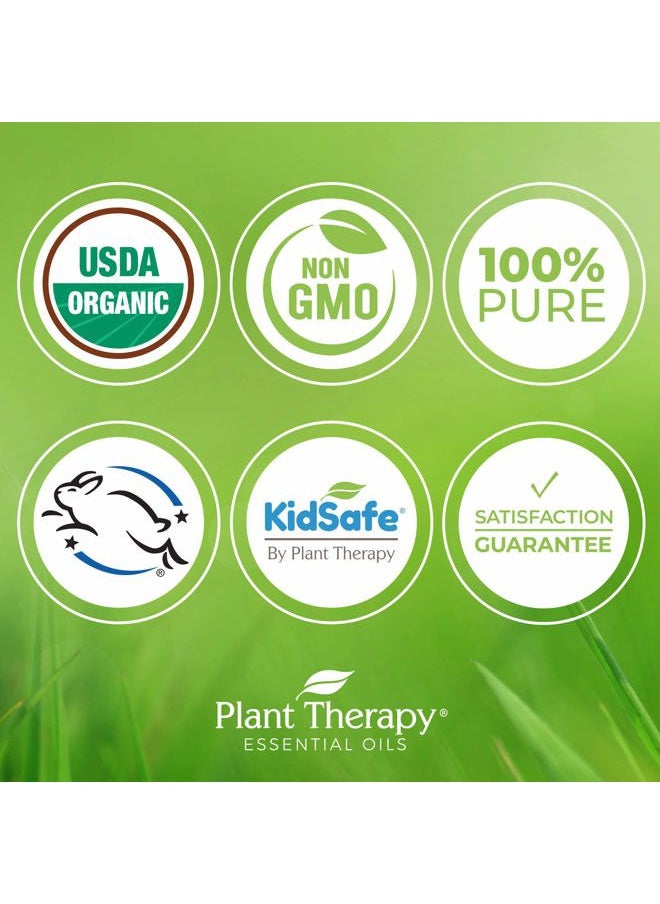 Organic Blue Tansy Essential Oil 100% Pure, Undiluted, Natural Aromatherapy, Therapeutic Grade 5mL (1/6 oz)