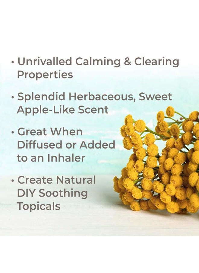 Organic Blue Tansy Essential Oil 100% Pure, Undiluted, Natural Aromatherapy, Therapeutic Grade 5mL (1/6 oz)