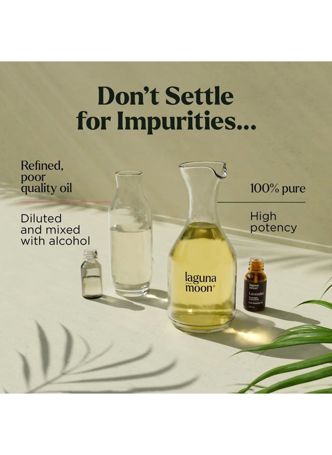 Essential Oils Set - Top 20 Gift Set Oils for Diffusers, Humidifiers, Massages, Aromatherapy, Candle Making, Skin & Hair Care - Peppermint, Tea Tree, Lavender, Eucalyptus, Lemongrass (10mL)