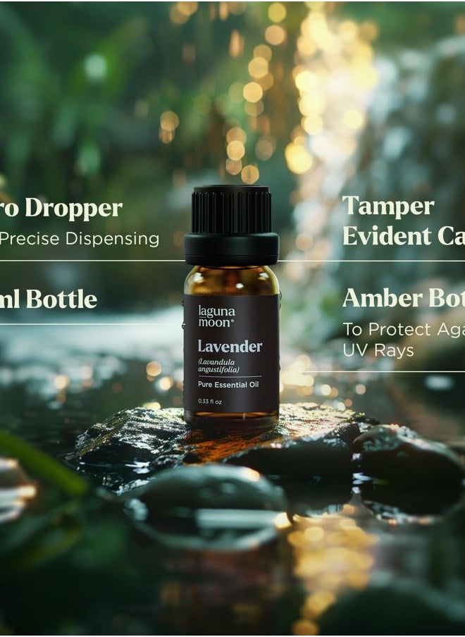 Essential Oils Set - Top 20 Gift Set Oils for Diffusers, Humidifiers, Massages, Aromatherapy, Candle Making, Skin & Hair Care - Peppermint, Tea Tree, Lavender, Eucalyptus, Lemongrass (10mL)
