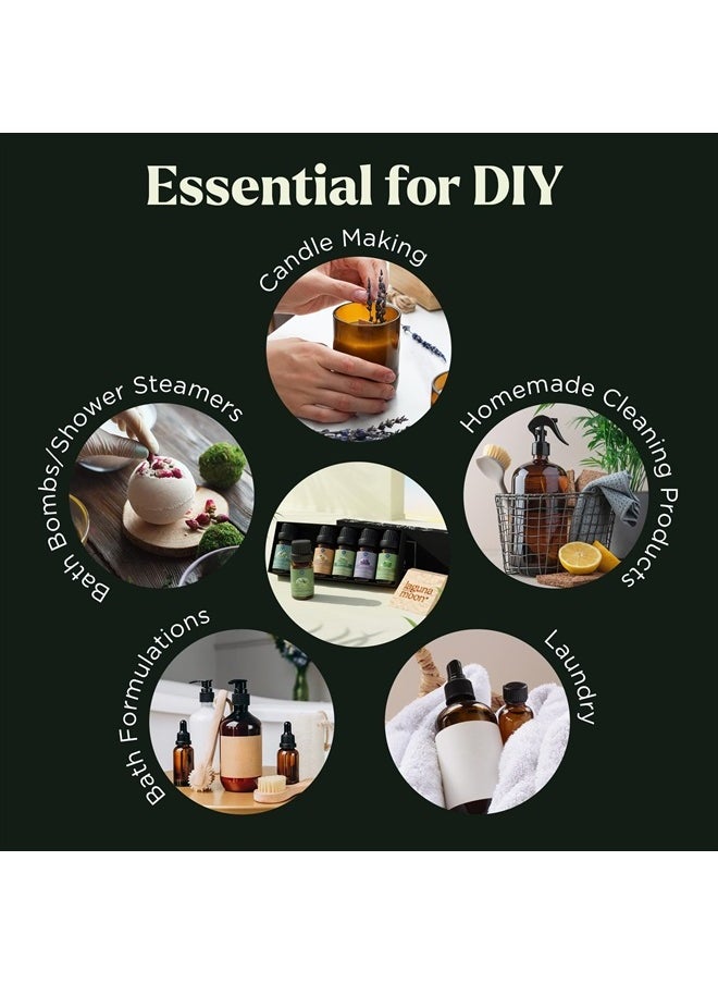 Essential Oils Set - 10pc Aromatherapy Oil in Portable Bag - Diffusers, Humidifiers, Yoga Room, Massages, Candle Making, Soaps - Peppermint, Tea Tree, Lavender, Eucalyptus, Lemongrass (10mL)