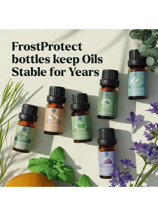 Essential Oils Set - 10pc Aromatherapy Oil in Portable Bag - Diffusers, Humidifiers, Yoga Room, Massages, Candle Making, Soaps - Peppermint, Tea Tree, Lavender, Eucalyptus, Lemongrass (10mL)