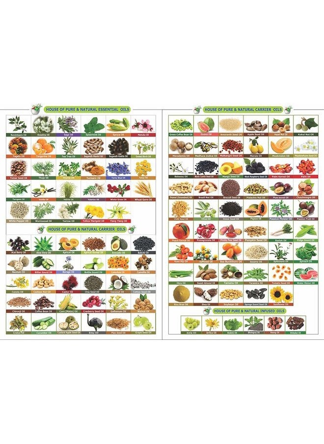 Wheat Germ (Triticum aestivum) Essential Oil 100% Pure & Natural Undiluted Uncut Cold Pressed Oil | Use for Aromatherapy & Skin | Therapeutic Grade - 30 ML