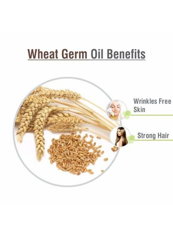 Wheat Germ (Triticum aestivum) Essential Oil 100% Pure & Natural Undiluted Uncut Cold Pressed Oil | Use for Aromatherapy & Skin | Therapeutic Grade - 30 ML