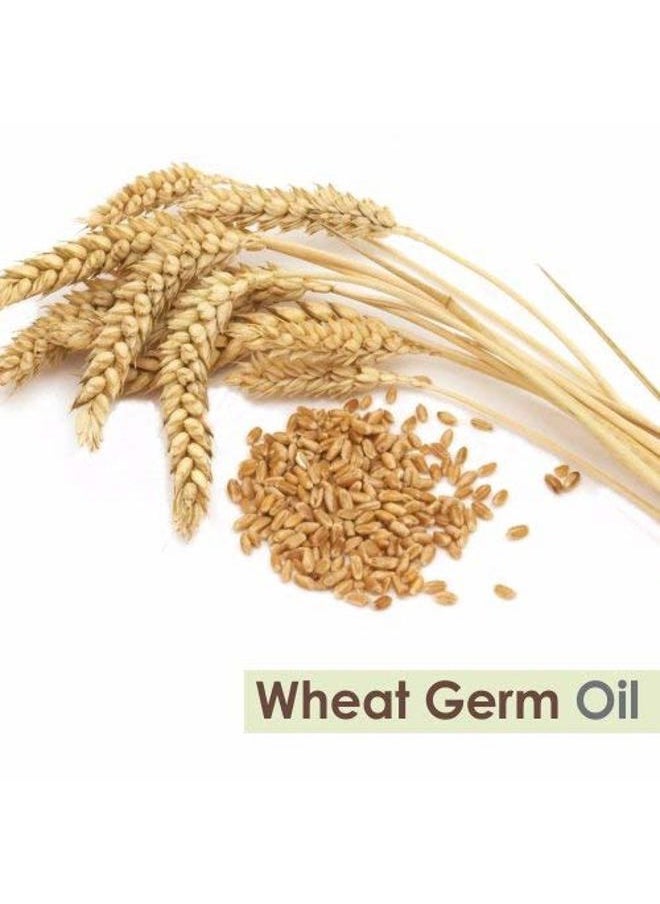 Wheat Germ (Triticum aestivum) Essential Oil 100% Pure & Natural Undiluted Uncut Cold Pressed Oil | Use for Aromatherapy & Skin | Therapeutic Grade - 30 ML