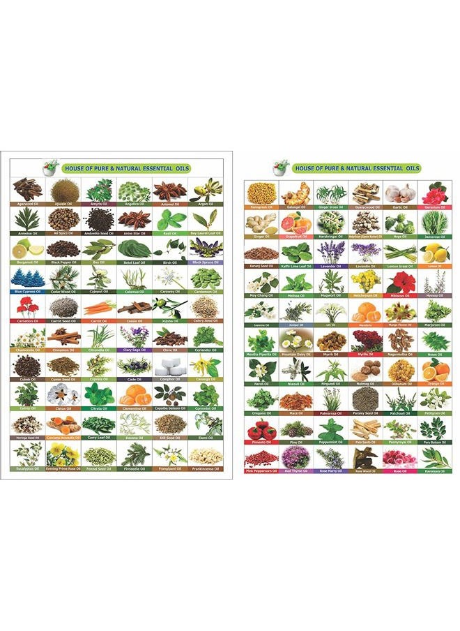 Wheat Germ (Triticum aestivum) Essential Oil 100% Pure & Natural Undiluted Uncut Cold Pressed Oil | Use for Aromatherapy & Skin | Therapeutic Grade - 30 ML