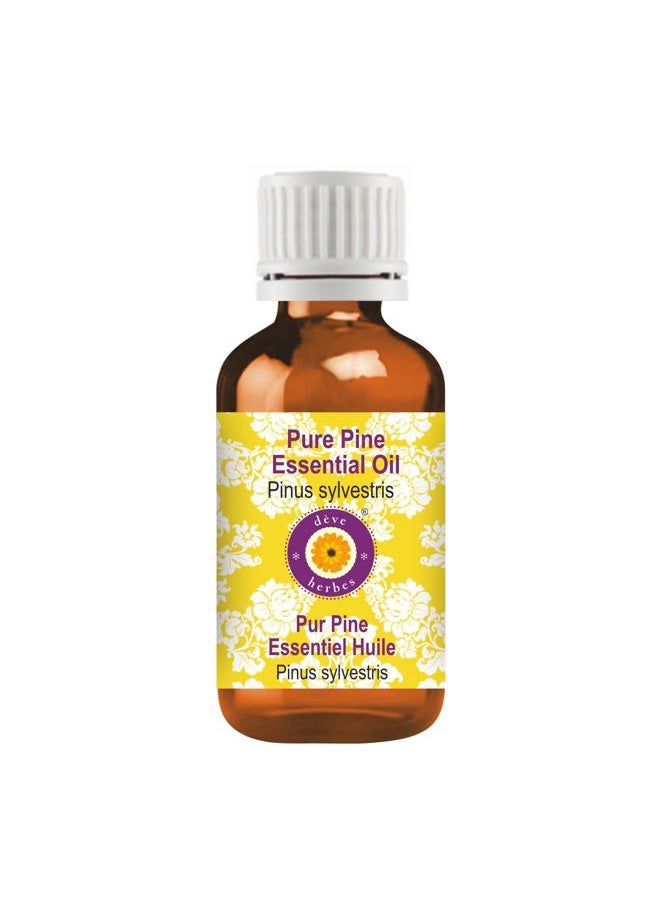Deve Herbes Pure Pine Essential Oil (Pinus sylvestris) 100% Therapeutic Grade Steam Distilled 15ml (0.50 oz)