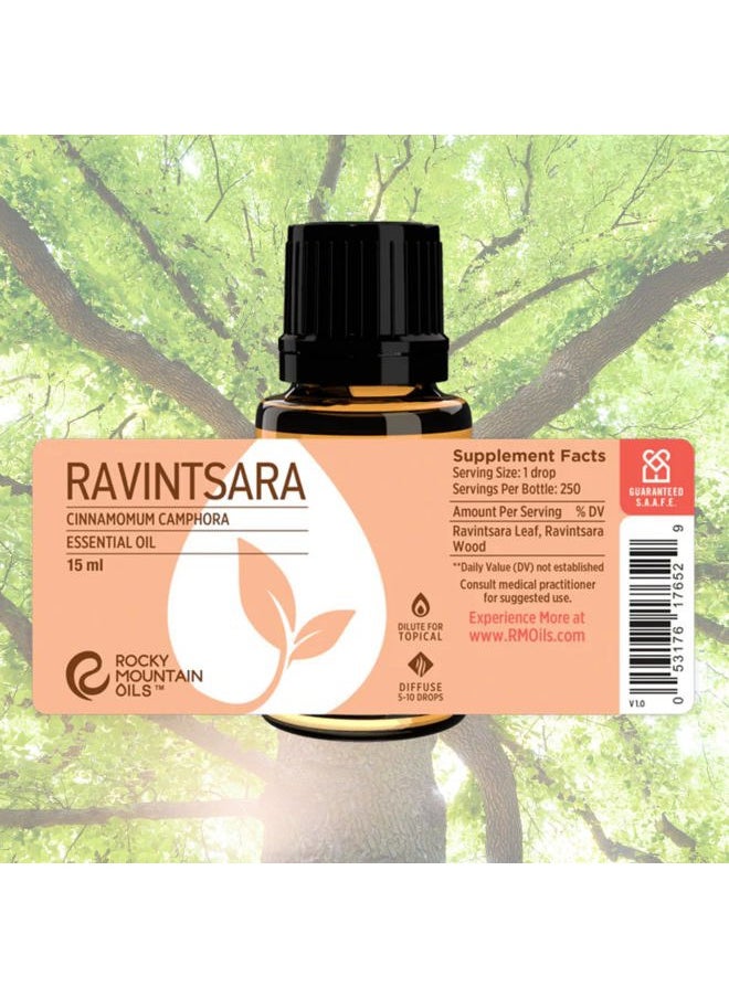 Ravintsara Essential Oill 15 ml, 100% Pure Undiluted, Natural & Therapeutic Grade Premium Aromatherapy Oil