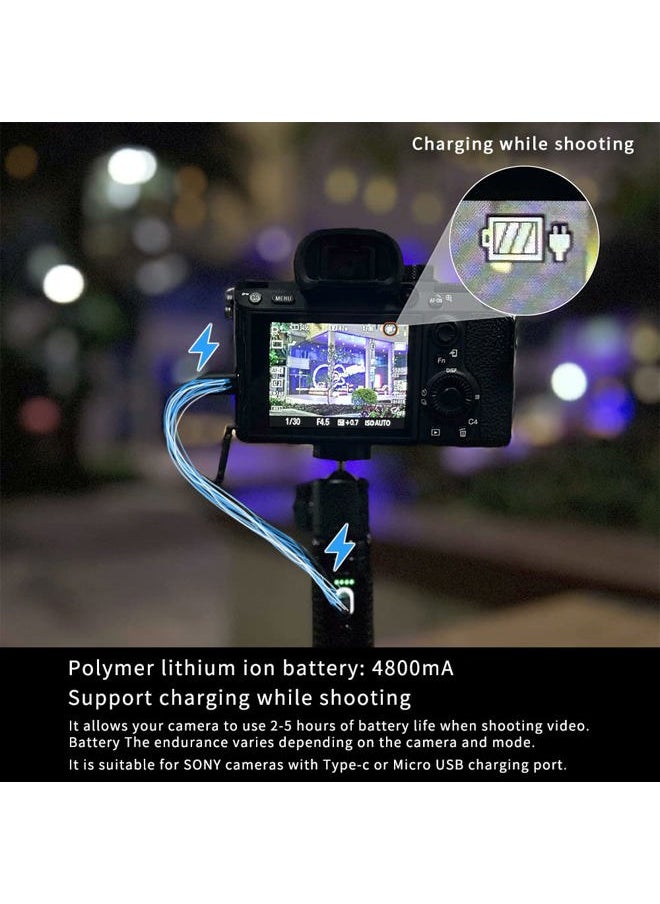 Light Battery Power Tripod Accessories Kit for Sony Camera, Bundle Includes Battery Power Grip + LED Fill Light + Aluminum Alloy Tripod + Mini Ball Head