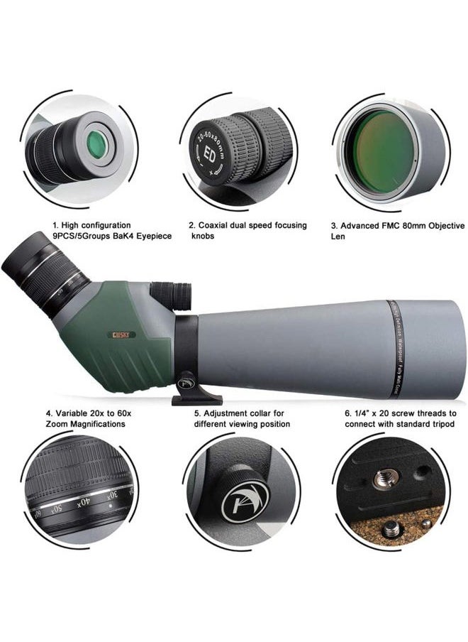 20-60x80 Dual Focusing ED Spotting Scope - Ultra High Definition Optics Scope with Carrying Case and Smartphone Adapter for Target Shooting Hunting Bird Watching Wildlife Astronomy Scenery