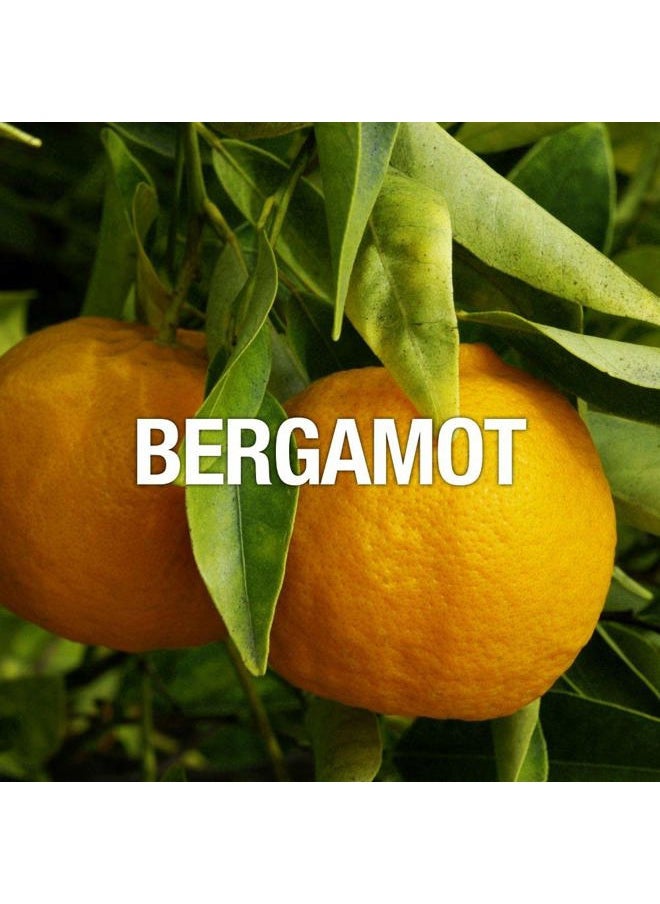 Men's Cologne Fragrance Spray, Casual Cool Day or Night Scent, Curve Spark, 2.5 Fl Oz