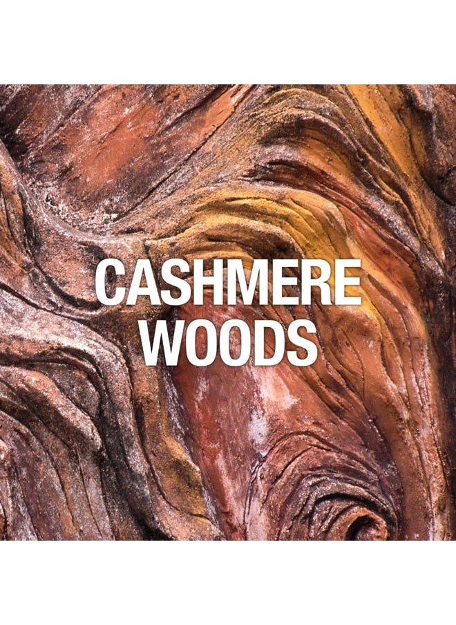 Men's Cologne Fragrance Spray, Casual Cool Day or Night Scent, Curve Spark, 2.5 Fl Oz