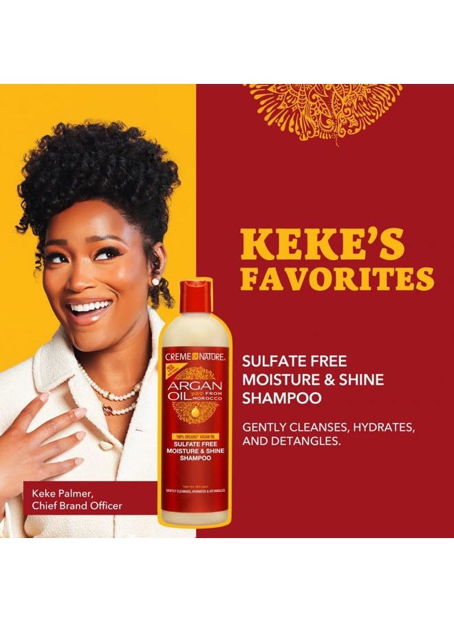 Argan Oil Shampoo, Moisture & Shine Shampoo, Sulfate Free Hair Care Formula, Nourishes, Hydrates, Detangles, 12 fl. oz.
