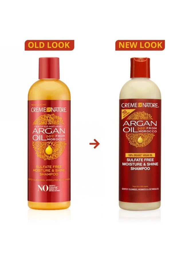 Argan Oil Shampoo, Moisture & Shine Shampoo, Sulfate Free Hair Care Formula, Nourishes, Hydrates, Detangles, 12 fl. oz.