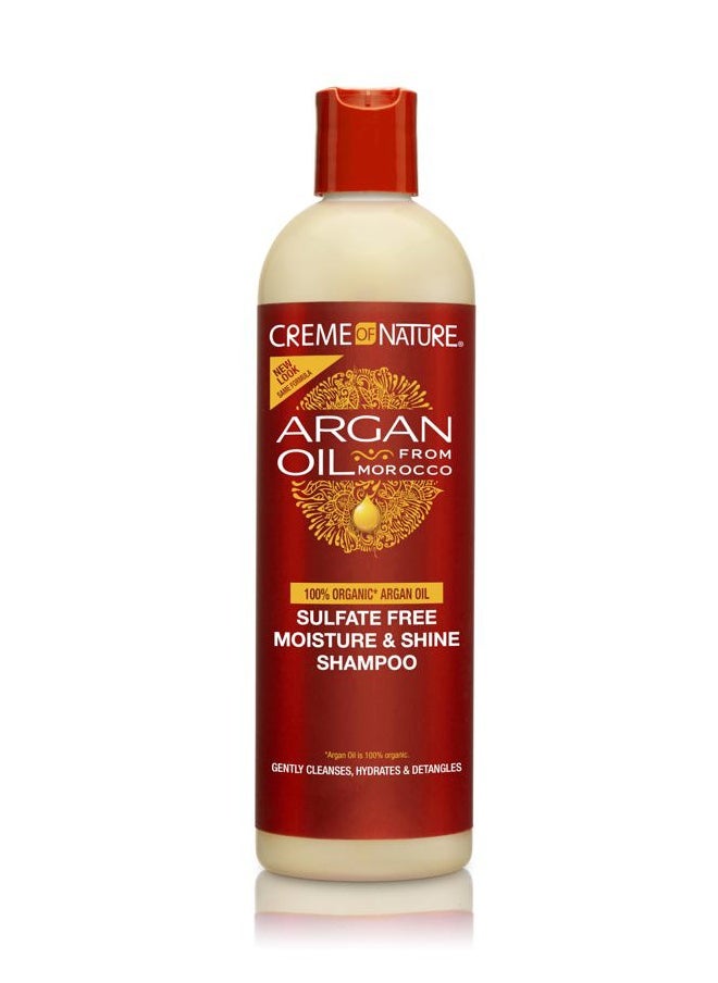 Argan Oil Shampoo, Moisture & Shine Shampoo, Sulfate Free Hair Care Formula, Nourishes, Hydrates, Detangles, 12 fl. oz.