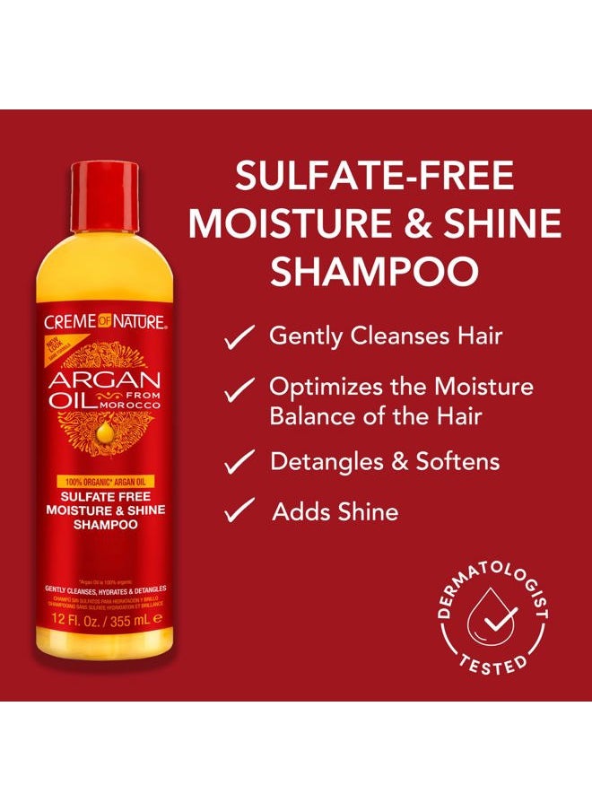 Argan Oil Shampoo, Moisture & Shine Shampoo, Sulfate Free Hair Care Formula, Nourishes, Hydrates, Detangles, 12 fl. oz.