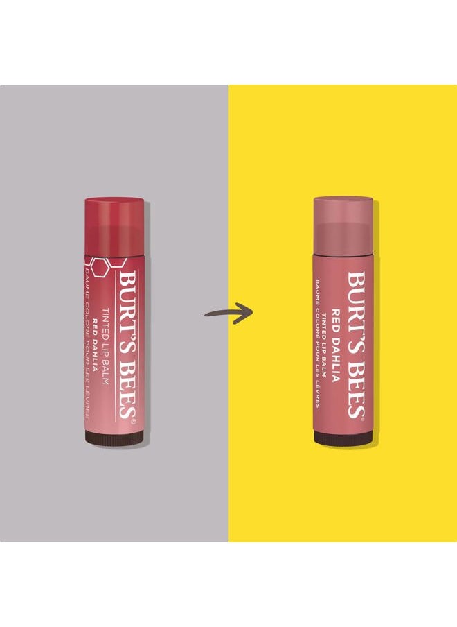 Lip Tint Balm with Long Lasting 2 in 1 Duo Tinted Balm Formula, Color Infused with Deeply Hydrating Shea Butter for a Natural Looking Buildable Finish, Fiery Red Dahlia (2-Pack)