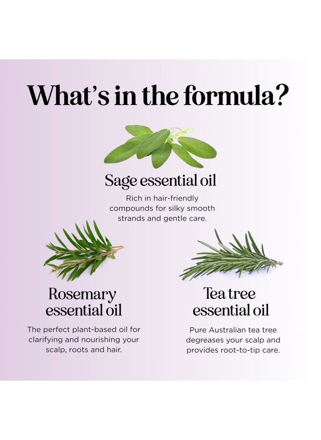 Sage and Rosemary Shampoo Sulfate Free - Sage Oil Clarifying Shampoo for Build Up and Scalp Moisturizer - Oily Hair Shampoo for Greasy Hair and Dry Scalp Treatment with Essential Oils for Hair