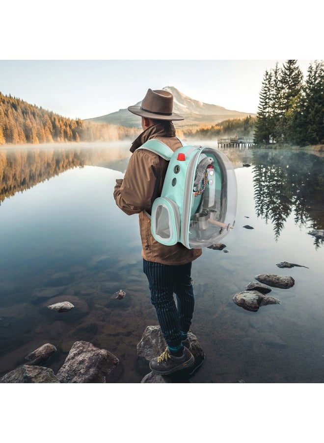 Bird Carrier Backpack Parrot Portable Breathable Bag Pet Bird Lightweight Travel Cage with Standing Perch and Stainless Steel Tray