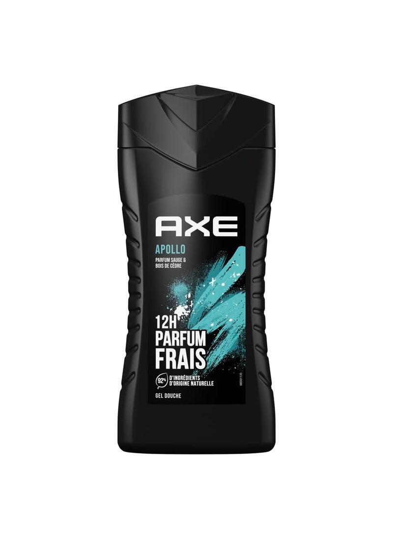 Axe Apollo Shower Gel 250 ml