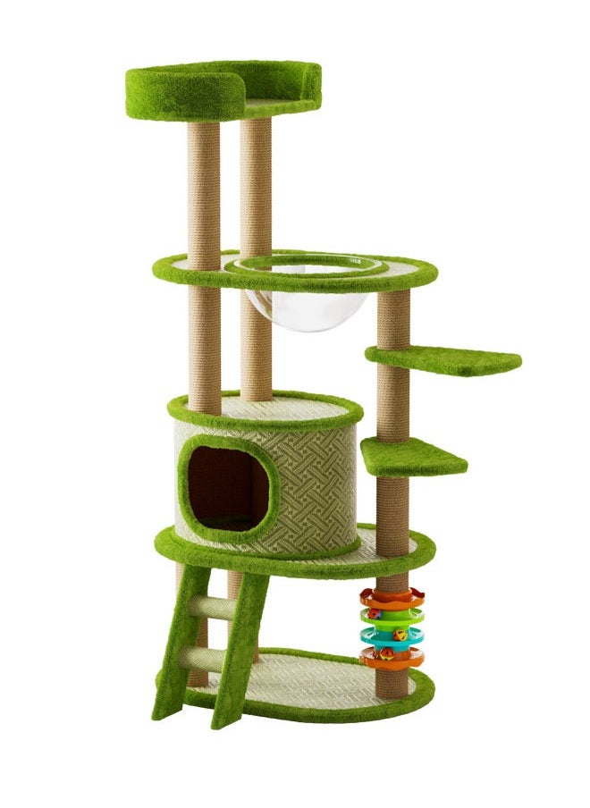 Multi-Level Kitten Play Tree with Scratching Post and Ladder
