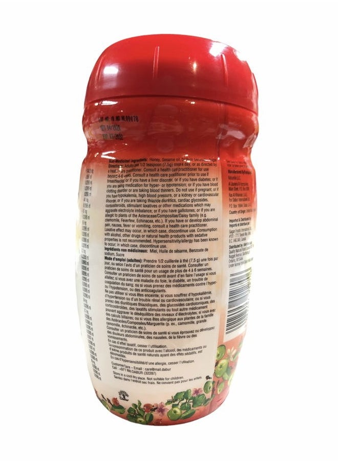 Chyawanprash Spread: Ayurveda Herb Infused Elixir for Revitalization, Support Energy & Vitality Enhancement - Fortified with 40 Ayurvedic Herbs - Suitable for Ages 12+ (500 Grams - Pack of 1)