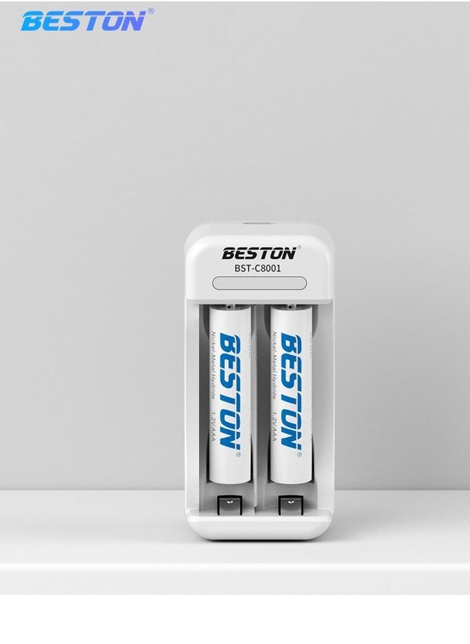 Beston C8001 Charger with 2 Pcs of AAA 1300mAh Batteries