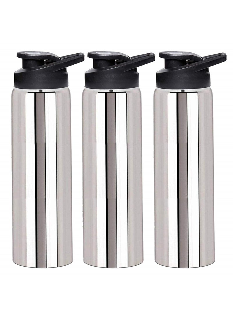 Kuber Industries CTKTC021742 Stainless Steel Water Bottle, 700ml, 3 Pieces, Silver