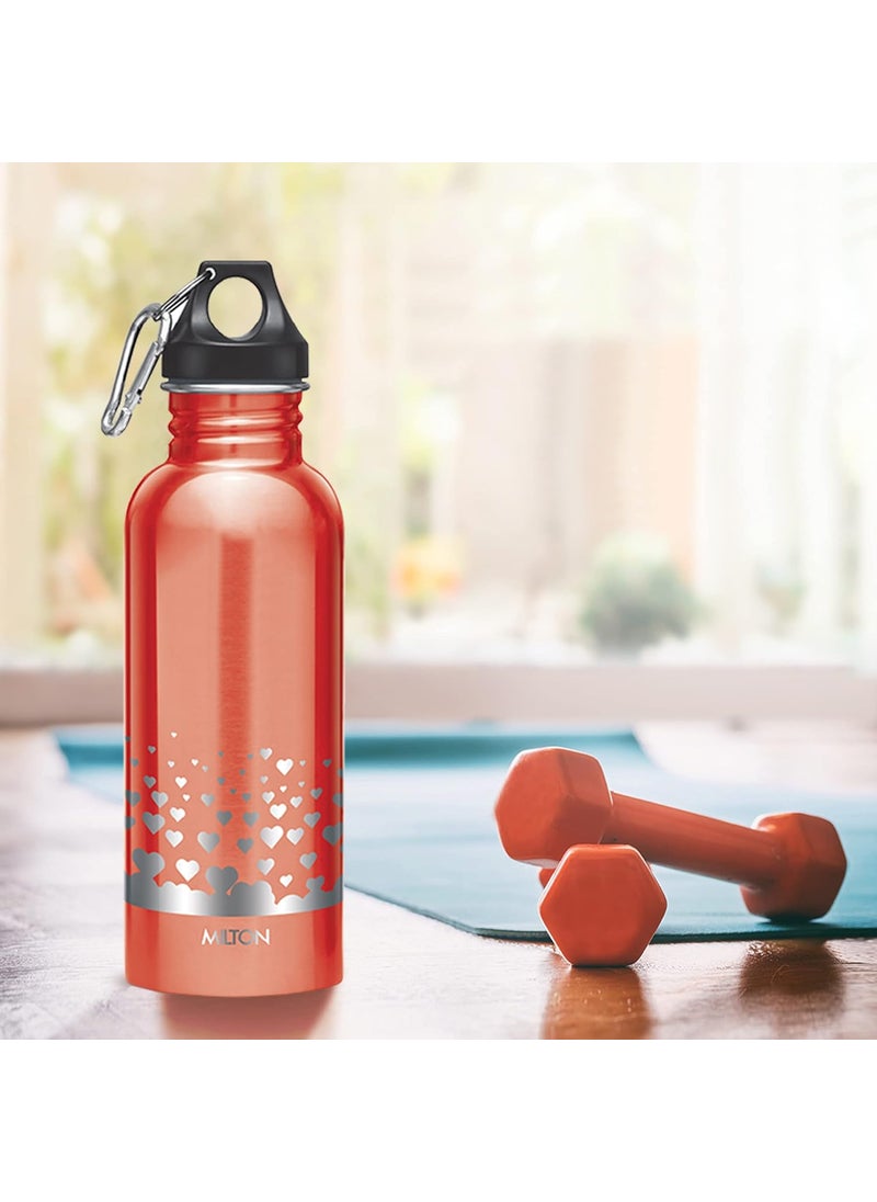 MILTON Alive 750 Stainless Steel Water Bottle, Set of 3, 750 ml Each, Red | Leak Proof | Office Bottle | Sports Bottle | Home | Kitchen | Hiking | Treking Bottle | Travel Bottle | Easy to Carry