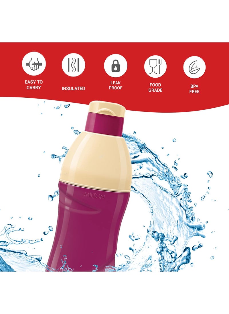 Milton Kool Crony 600 Insulated Water Bottle, Set of 3, 500 ml Each, Purple