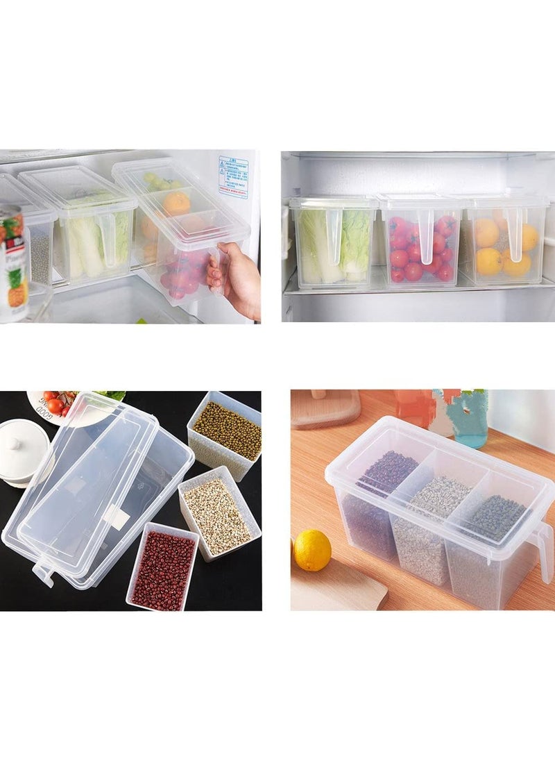 Rylan Fridge Storage Boxes Fridge Organizer Storage Box For Kitchen Plastic Containers For Kitchen Storage Food Storage Fridge Storage Containers with 3 Bins (5 Liter-Pack of 2)