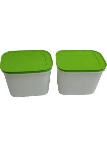 Tupperware Plastic Utility Container 1100 ml Pack of 2 (Multicolor)