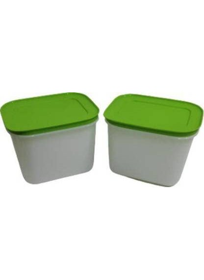 Tupperware Plastic Utility Container 1100 ml Pack of 2 (Multicolor)